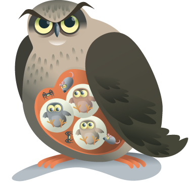 Dieren vinyl tapijt moederuil - TenStickers