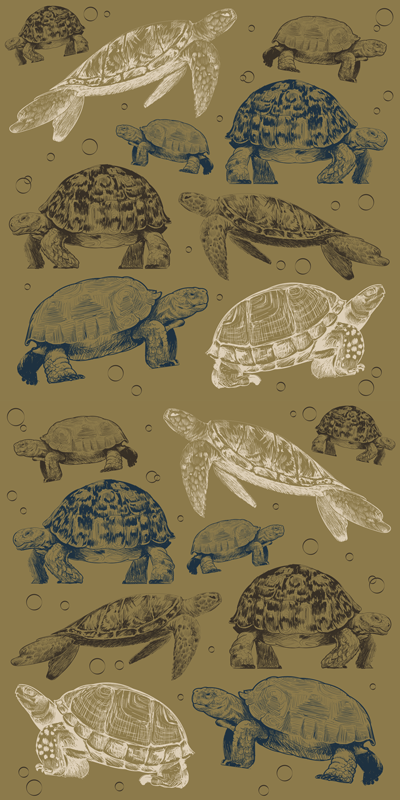 Dieren vinyl tapijt met beige achtergrond schildpadden - TenStickers
