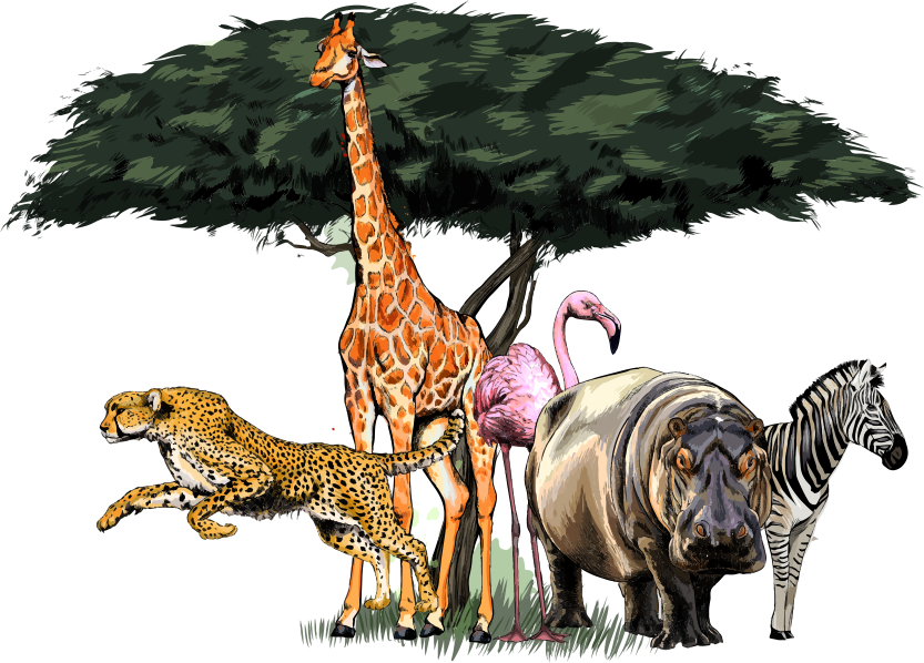 Dieren vinyl tapijt giraffe familie safari - TenStickers