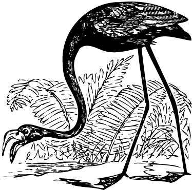 Dieren vinyl tapijt flamingo met varens - TenStickers