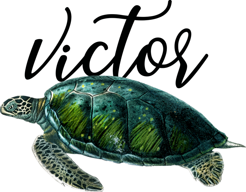 Dieren vinyl tapijt aanpasbaar schildpad ontwerp - TenStickers
