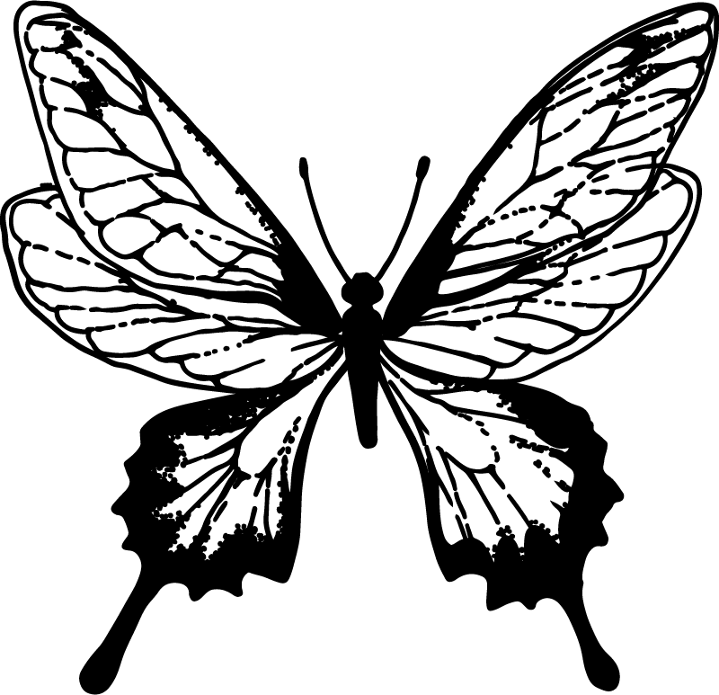 Dieren vinyl tapijt graceful butterfly outline - TenStickers