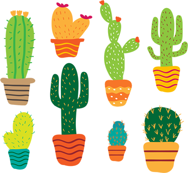 Vinyl tapijt bloemen en planten kleurrijke cactus set - TenStickers