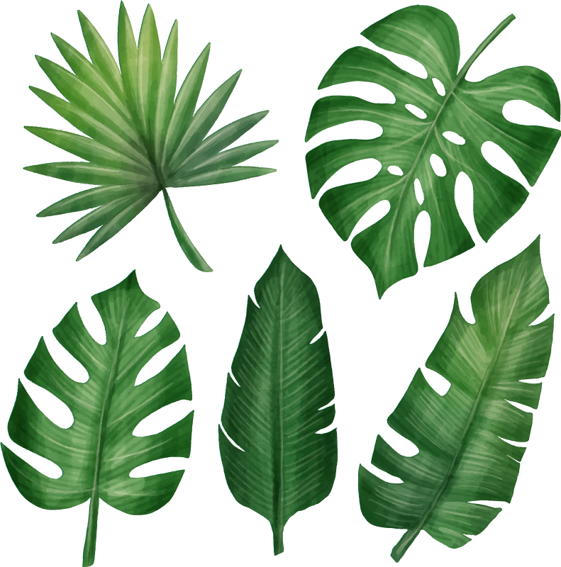 Vinyl tapijt bloemen en planten realistische tropische bladeren - TenStickers