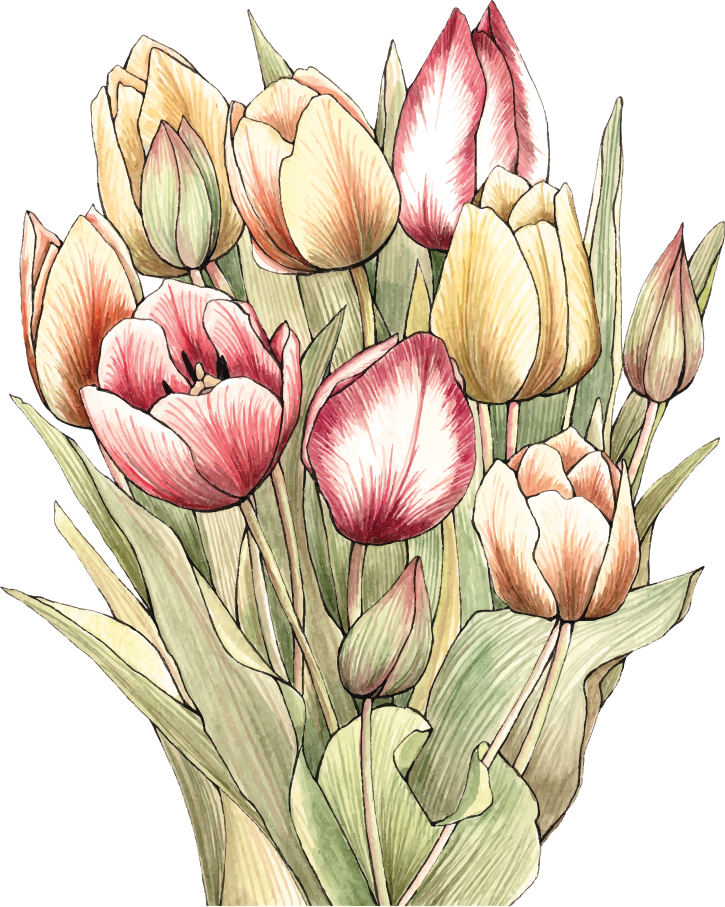 Vinyl tapijt bloemen en planten kleurrijk tulpenboeket - TenStickers