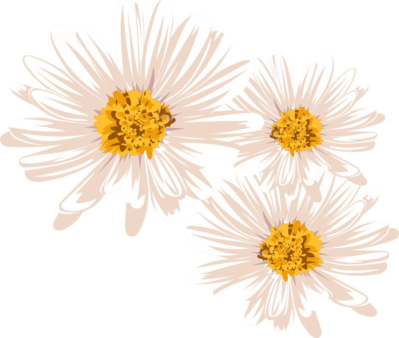 Vinyl tapijt bloemen en planten charmante bloemenarrangement - TenStickers