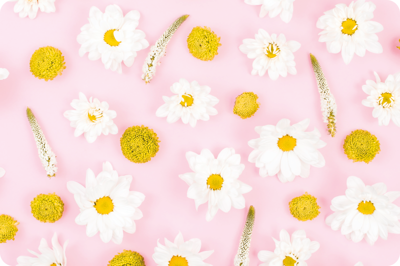 Vinyl tapijt bloemen en planten gekleurde bloemen - TenStickers