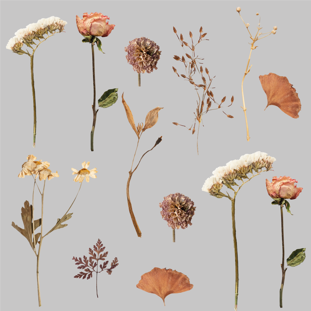 Vinyl tapijt bloemen en planten met gedroogde bladeren - TenStickers