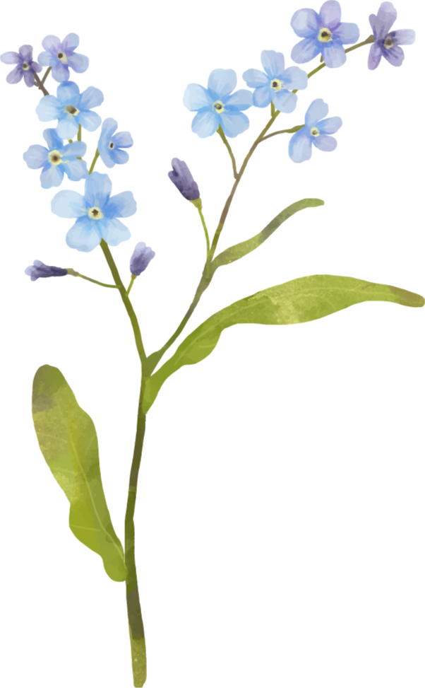 Vinyl tapijt bloemen en planten elegante blauwe plant - TenStickers