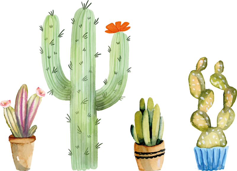 Vinyl tapijt eetkamer set variëteit van cactussen - TenStickers