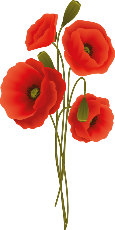 Vinyl vloerkleed badkamer delicate papavers - TenStickers