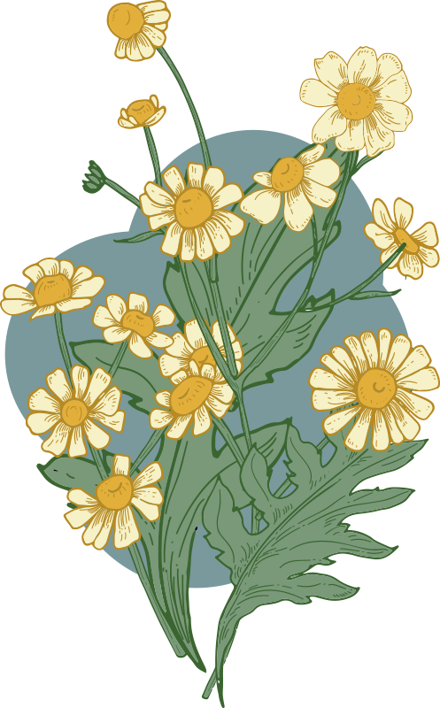 Vinyl tapijt bloemen en planten vivid bloom compositie - TenStickers