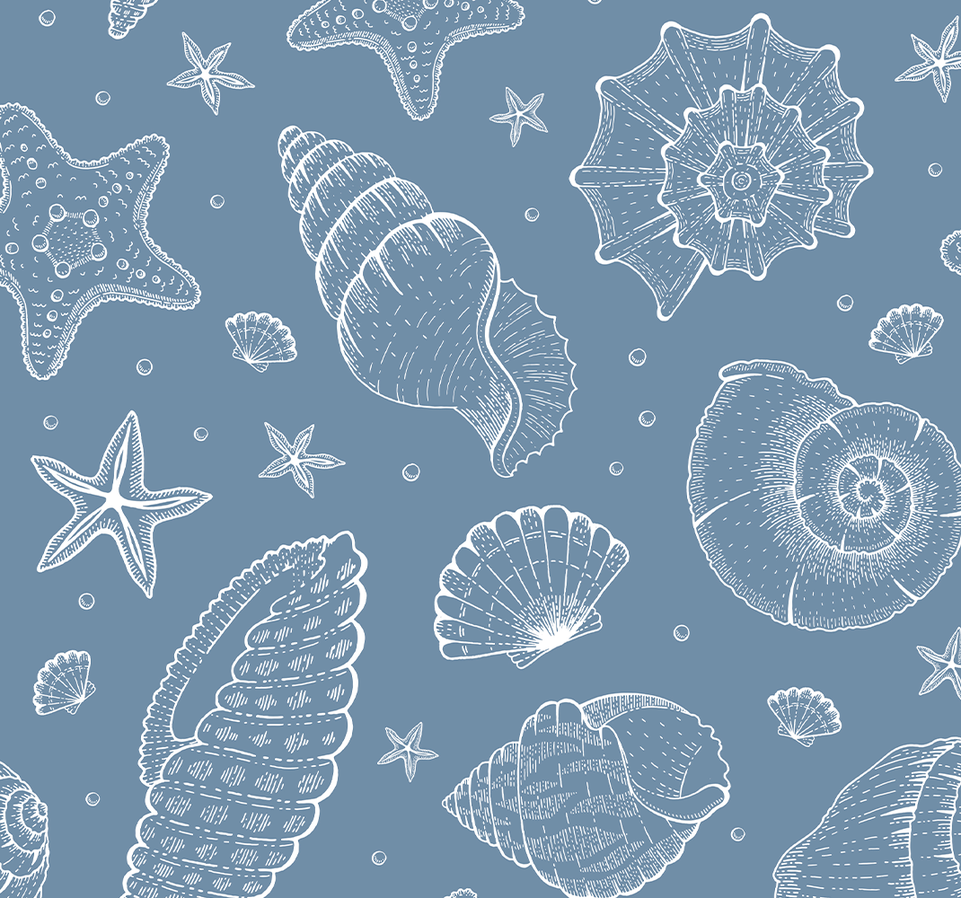 Vinyl tapijt slaapkamer maritieme leven en schelpen - TenStickers