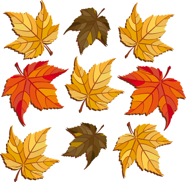 Vinyl tapijt natuur herfstbladeren - TenStickers