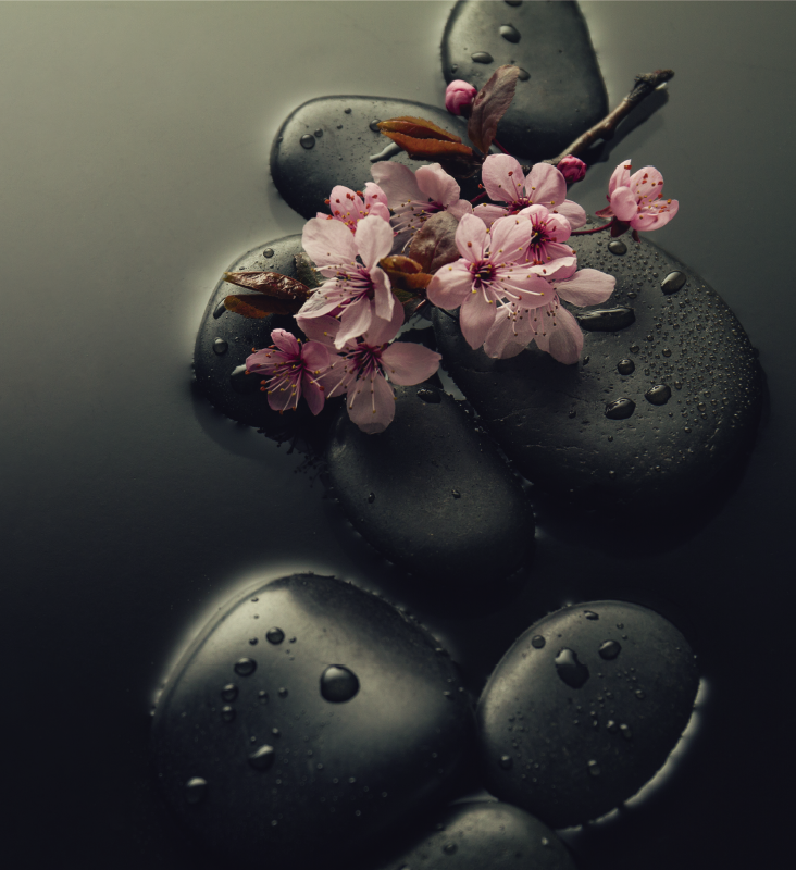 Vinyl tapijt natuur zen ambiance met steen voor toilet - TenStickers