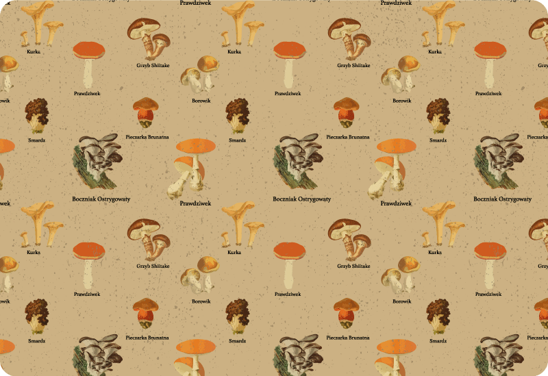 Vinyl tapijt natuur vintage paddenstoelen soorten - TenStickers