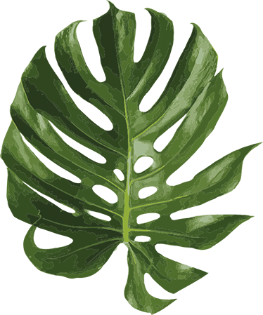 Vinyl tapijt bloemen en planten monstera blad - TenStickers