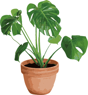 Vinyl tapijt bloemen en planten simpele monstera pot - TenStickers