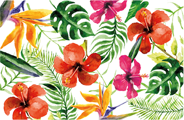 Vinyl tapijt bloemen en planten monstera deliciosa - TenStickers