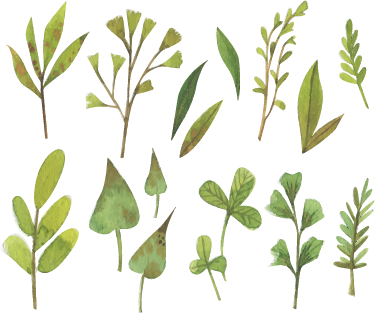 Vinyl tapijt bloemen en planten aquarella kleine bladeren - TenStickers