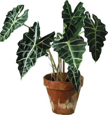 Vinyl tapijt bloemen en planten geometrische potplant - TenStickers