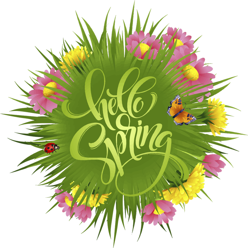 Vinyl tapijt bloemen en planten lentebloemen - TenStickers