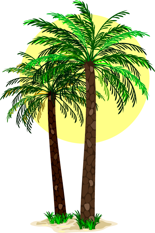 Vinyl tapijt bloemen en planten tropische palmbomen - TenStickers