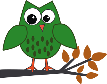 Vinyl tapijt kind groene uil op tak - TenStickers