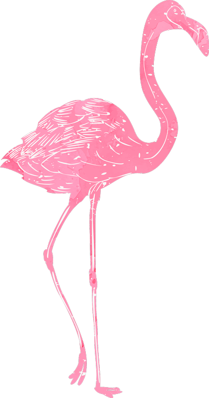 Vinyl tapijt slaapkamer aquarel flamenco - TenStickers