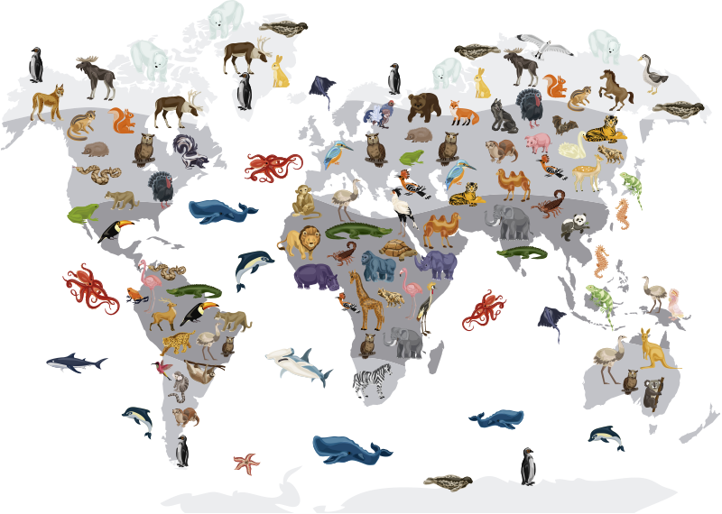 Vinyl tapijt wereldkaart nordic stijl muurdecoratie - TenStickers