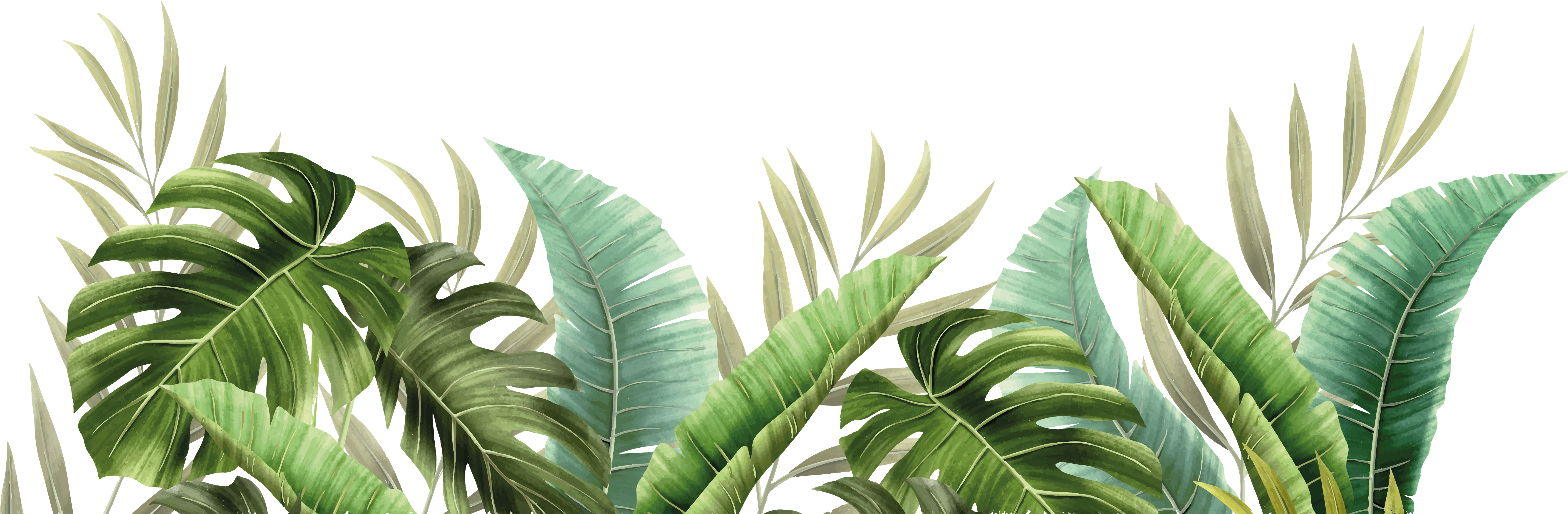 Vinyl vloerkleed badkamer tropische planten - TenStickers