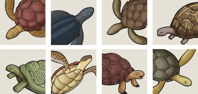 Vinyl vloerkleed badkamer met diverse schildpadtegels - TenStickers
