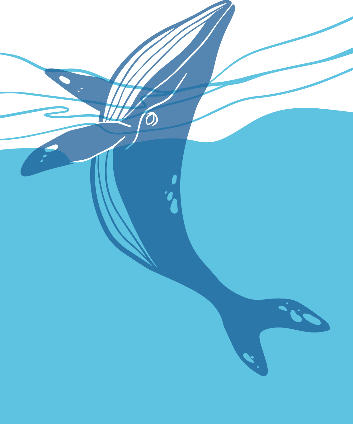 Vinyl vloerkleed badkamer walvis douche screen stickers - TenStickers