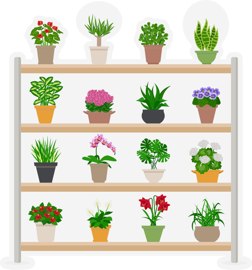 Vinyl vloerkleed keuken kamerplanten op planken - TenStickers