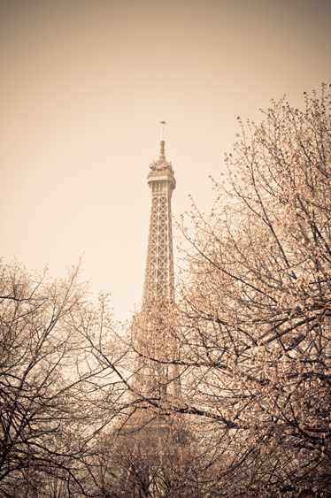 Vinyl tapijt slaapkamer foto eiffeltoren bomen - TenStickers