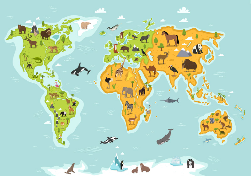 Vinyl tapijt wereldkaart dieren en planten - TenStickers