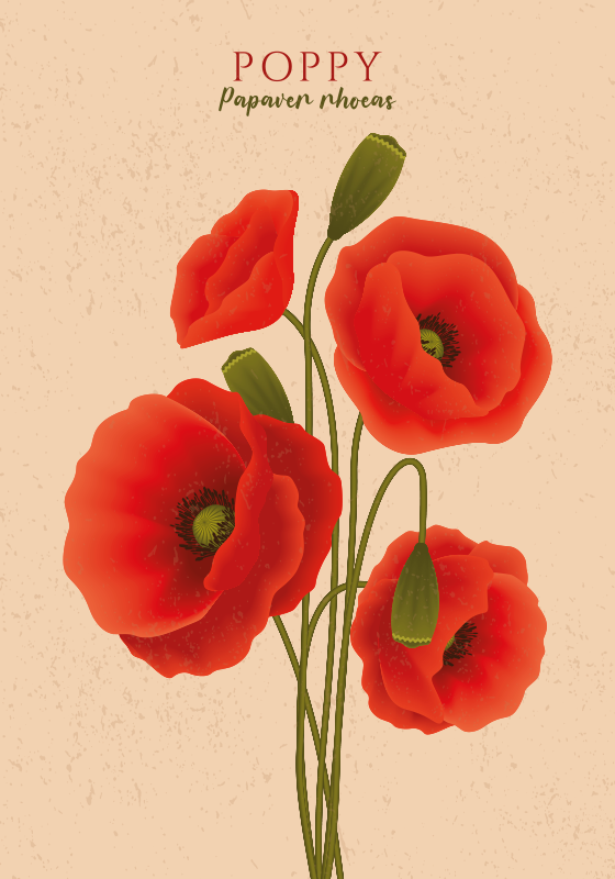 Vinyl tapijt bloemen en planten klaprozen - TenStickers