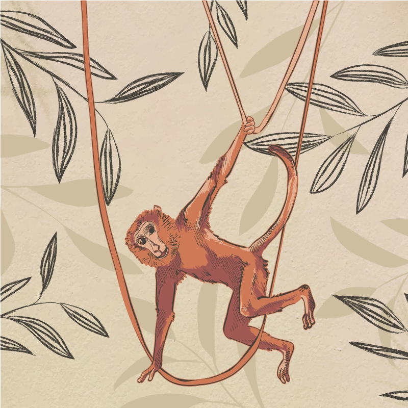 Vinyl tapijt kind baby aapje aan een plant quadres 3 - TenStickers