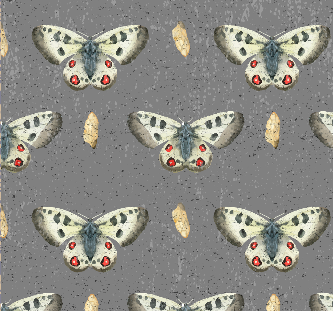 Vinyl tapijt grijs vlinderpatroon eenvoud - TenStickers
