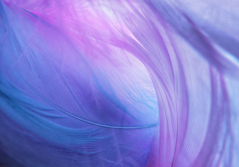 Vinyl tapijt paars 3d blauwe en paarse swirl - TenStickers