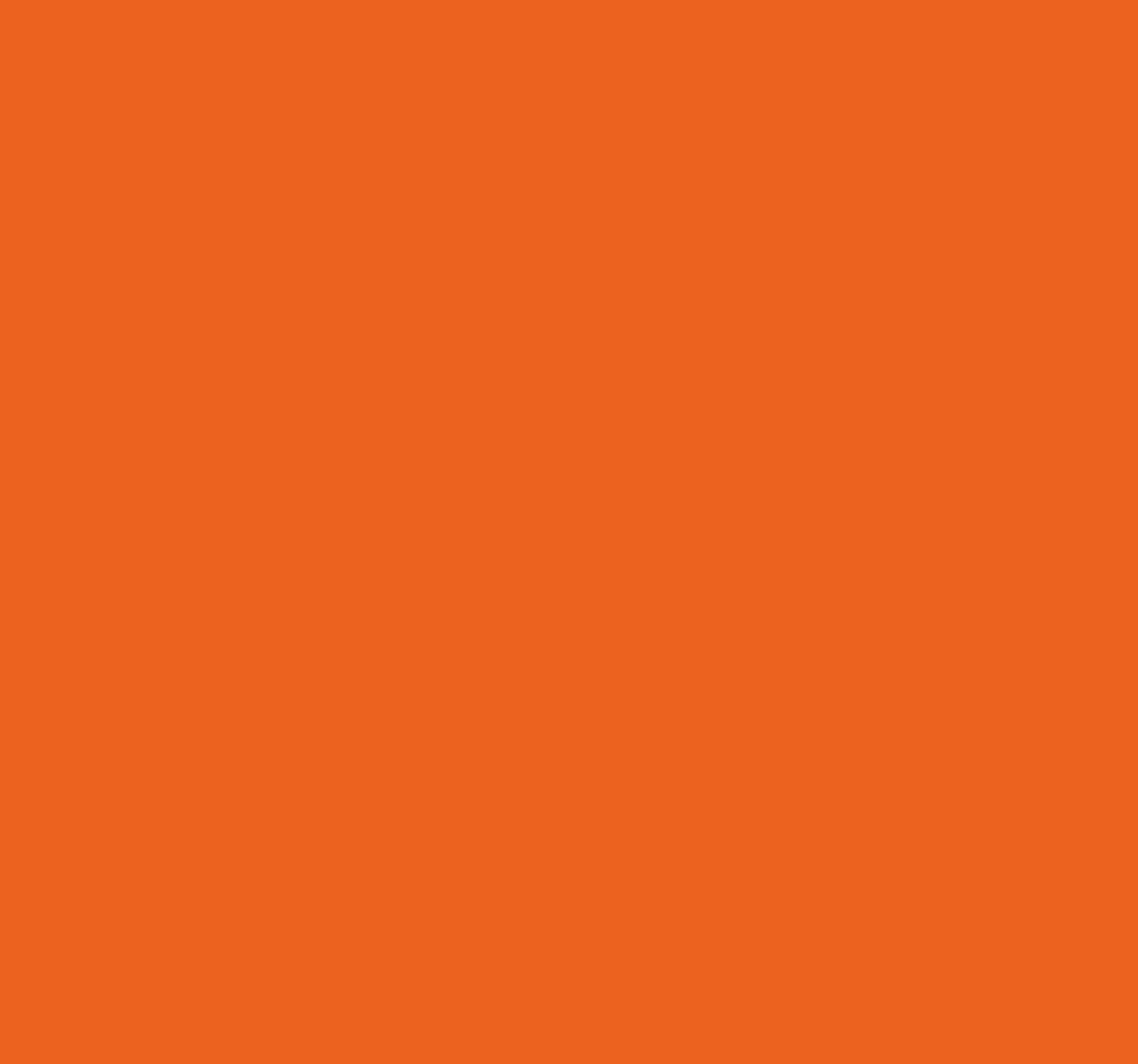 Vinyl tapijt oranje citrus oranje - TenStickers