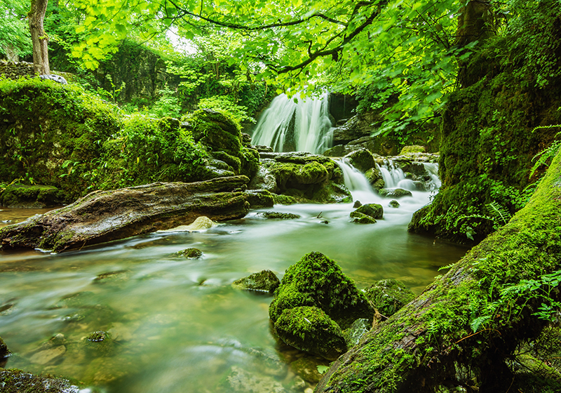 Vinyl tapijt groen serene waterval - TenStickers