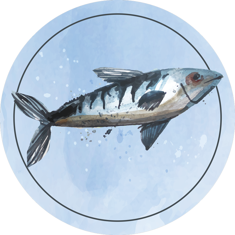 Aquarel vis ontwerp vinyl tapijt - TenStickers