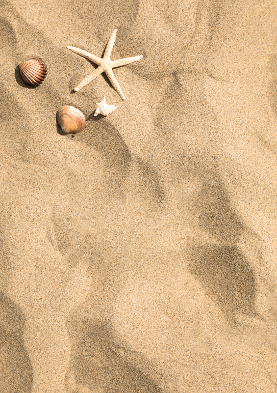 Natuur vinyl tapijt Summer vibe vinyl vloerkleed zand - TenStickers