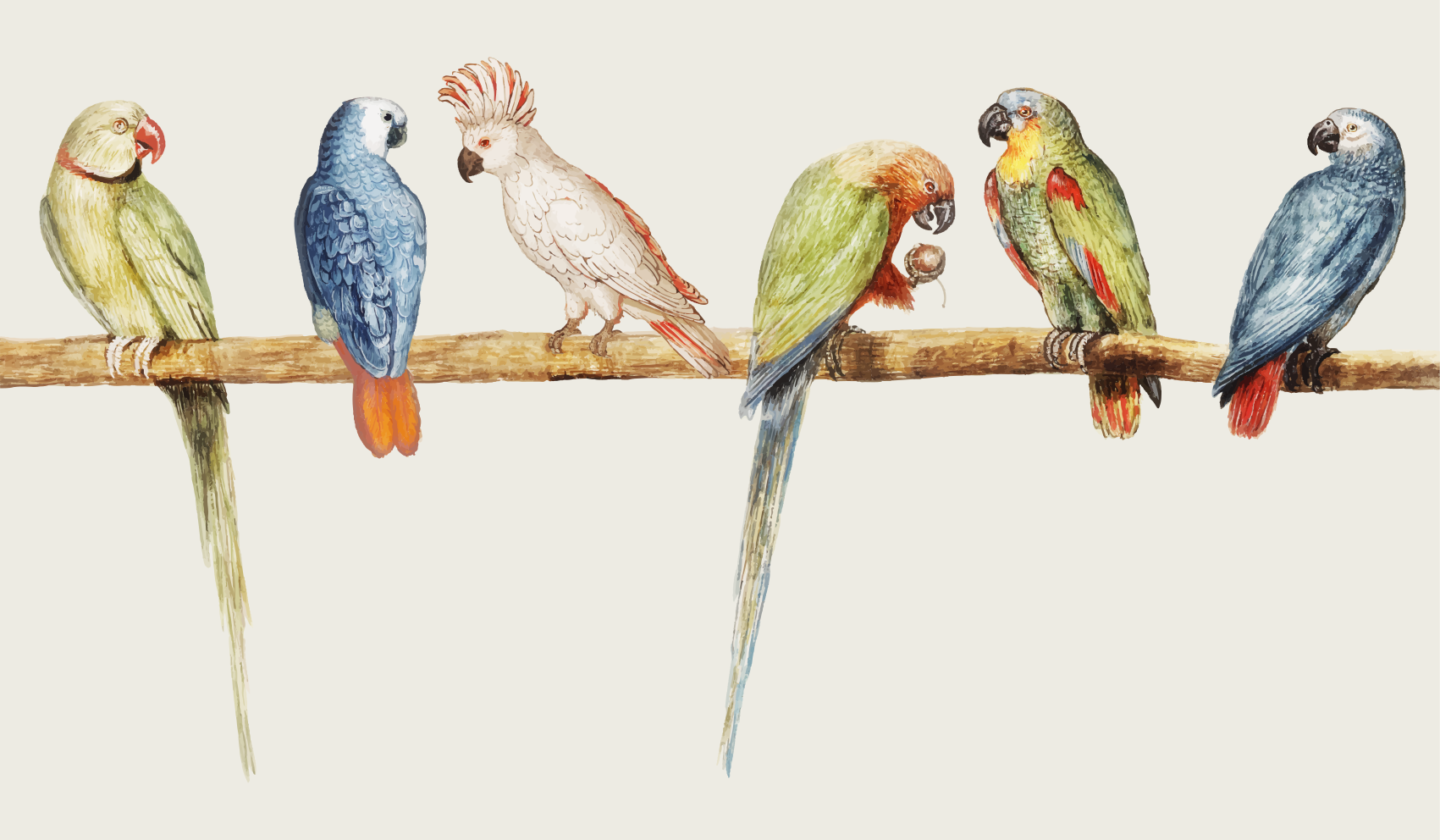 Vinyl tapijt Modern grijs met vogels en takken - TenStickers