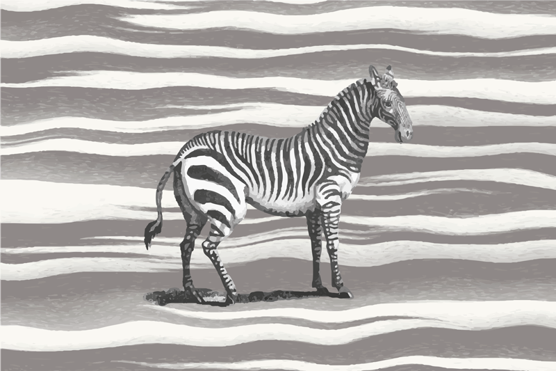 Zebragestreept vinyl tapijt dierenprint - TenStickers