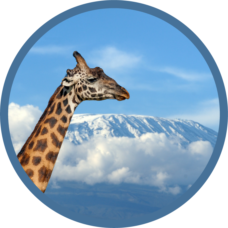 Giraffe majestueus uitzicht dieren vinyl tapijt - TenStickers
