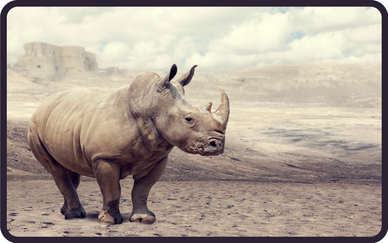 Majestueuze neushoornscène dieren vinyl tapijt - TenStickers
