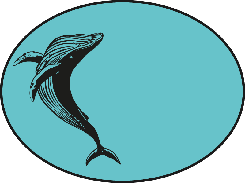 Majestueus walvismotief dieren vinyl tapijt - TenStickers