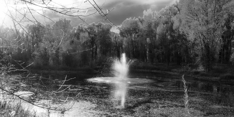 Sereen uitzicht op de waterval vinyl tapijt natuur - TenStickers